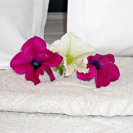 Jolly Center تيرانا