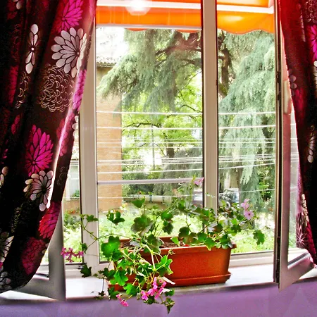 Jolly Center فندق تيرانا