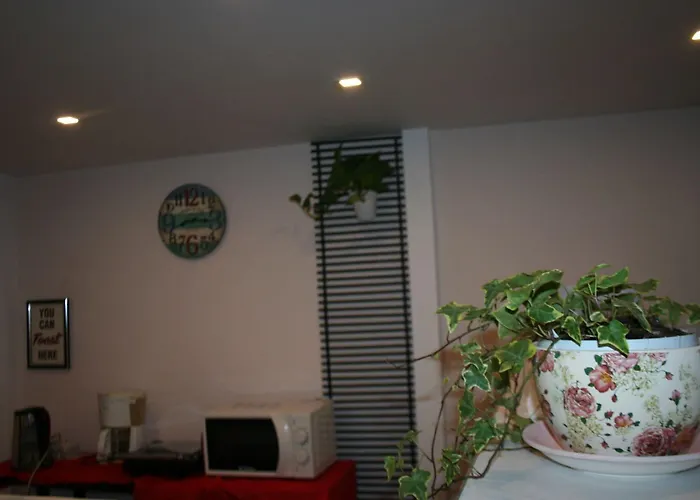 Jolly Center Hotel 3*