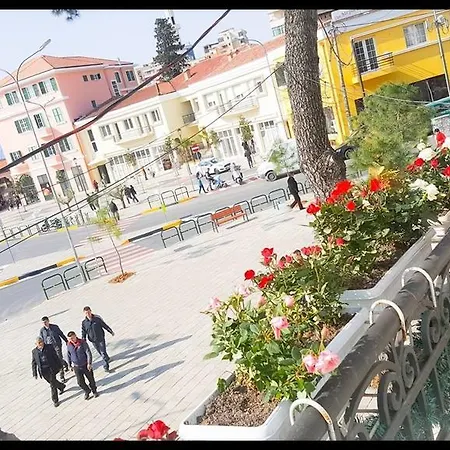 Jolly Center 3* 地拉那