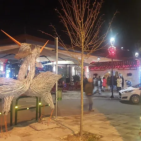 酒店 Jolly Center 地拉那