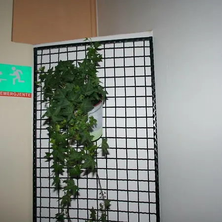 酒店 乔利市中心酒店 3*